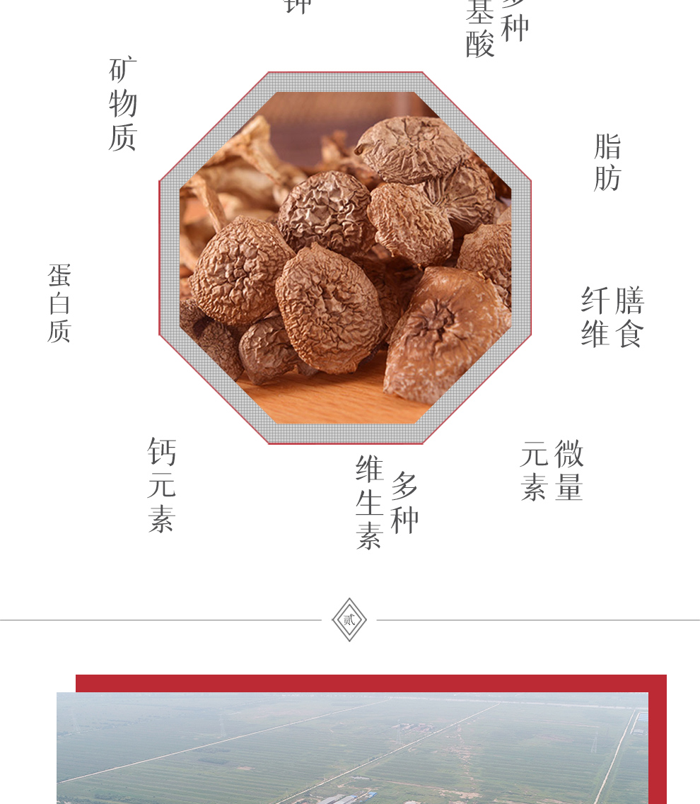 罐装鹿茸菌_03.jpg