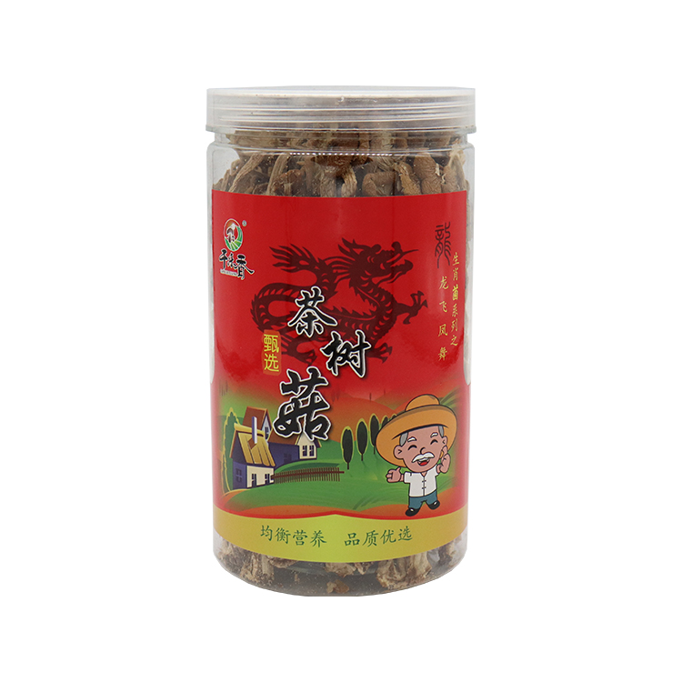 茶树菇