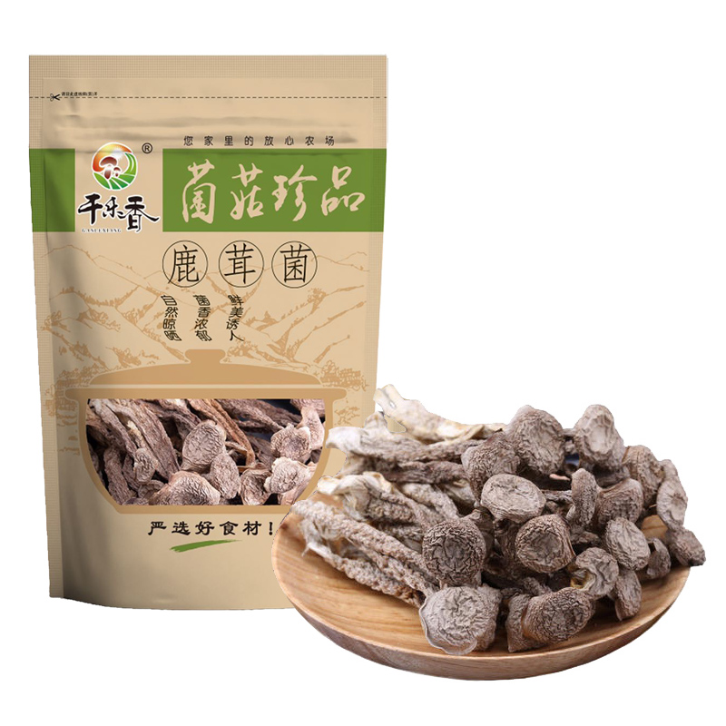 鹿茸菌